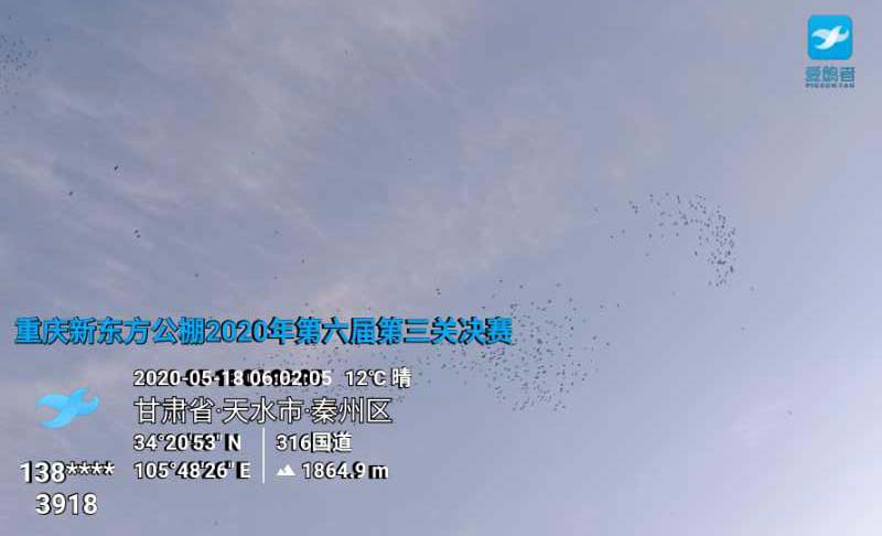 重庆新东方国际赛鸽公棚第六届决赛归巢图文报道