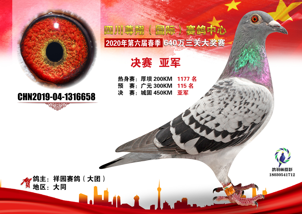 四川尊翔国际赛鸽中心2020年（春）第六届优胜鸽前十精美图集