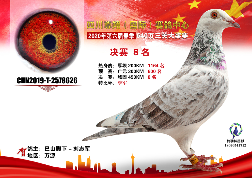 四川尊翔国际赛鸽中心2020年（春）第六届优胜鸽前十精美图集