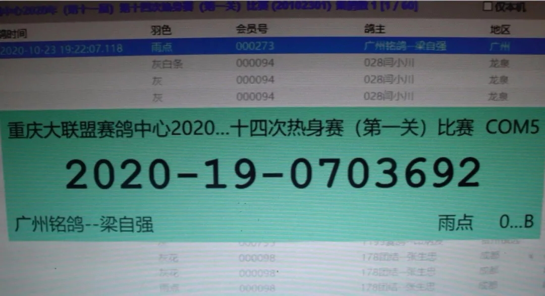热身赛图文报道/重庆大联盟赛鸽公棚2020年第十一届第一关全程报道